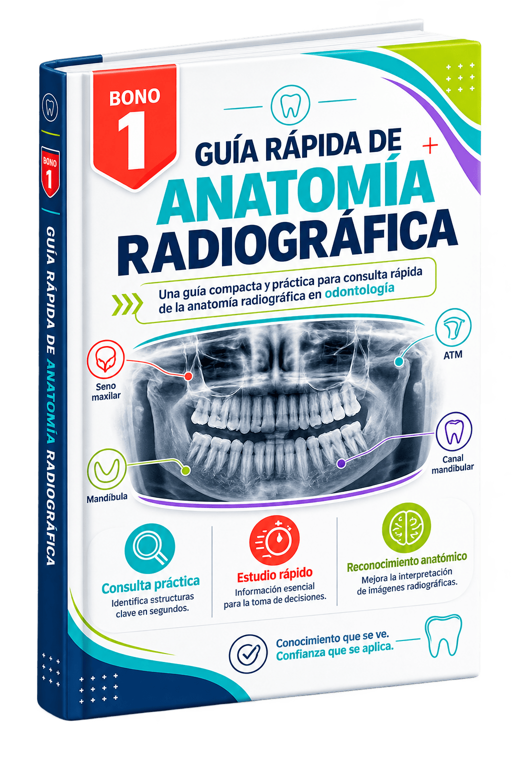 Portada de Guía Rápida de Anatomía Radiográfica